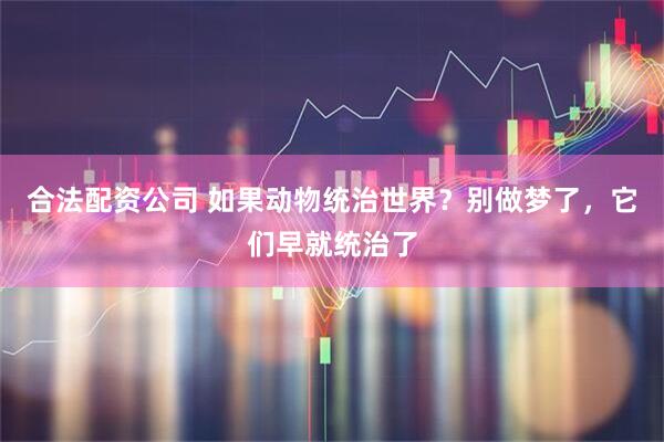 合法配资公司 如果动物统治世界?别做梦了,它们早就统治了
