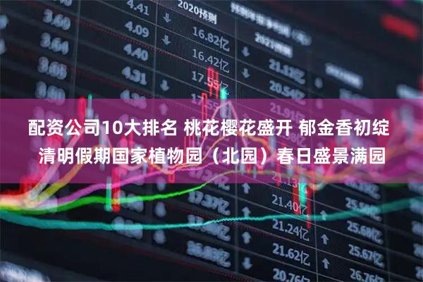 配资公司10大排名 桃花樱花盛开 郁金香初绽 清明假期国家植物园（北园）春日盛景满园
